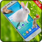 Rabbits in Phone | prank app icon
