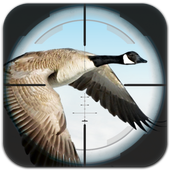 Flying Bird Hunting icon