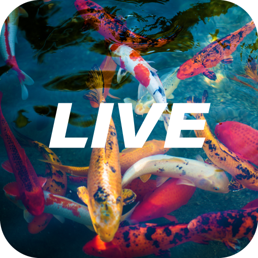 Koi Live Wallpaper icon