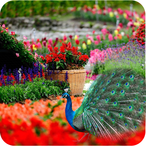 Garden Wallpaper HD icon