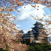 Japan Wallpapers icon