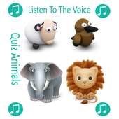 Quiz Animals Sound