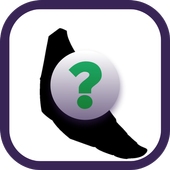 Guess Of Pokemon icon