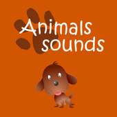 Animals Sounds