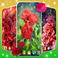 Elegant RedRose Live Wallpaper on 9Apps