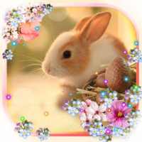 Easter Bunny Live wallpaper on 9Apps