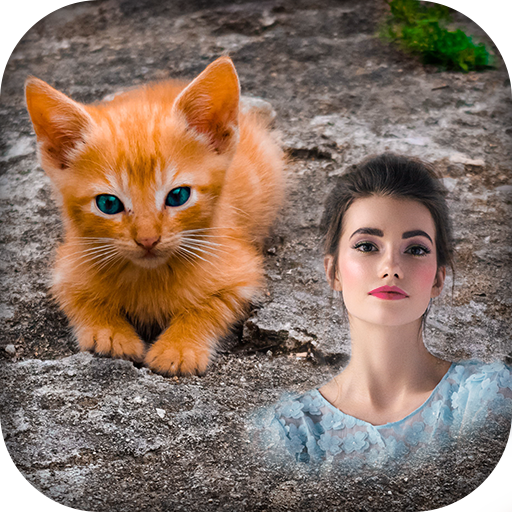 Cat Photo Frames icon