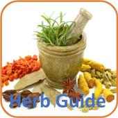 Best Herbs Guide on 9Apps