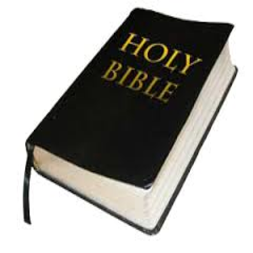 Bible Trivia icon