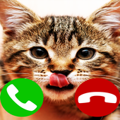 Fake Call Cat icon
