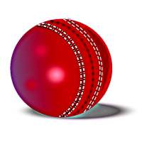 Hit Cricket HD- Mobile Finger League