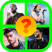 Guess the  Singers icon