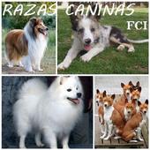 PERROS-RAZA free icon