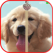 Teddy Zipper Lock icon