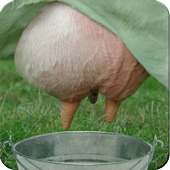 Подои корову