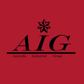 AIG icon