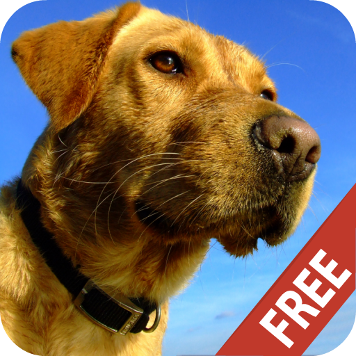 Dog Sounds Ringtones icon