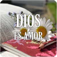 Dios es Amor, postales