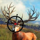 Wild Animal Hunting Game 3D