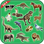 All Animal Sound : Animal Information icon