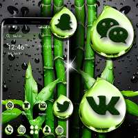 Bamboo Water Drop Launcher Theme on 9Apps