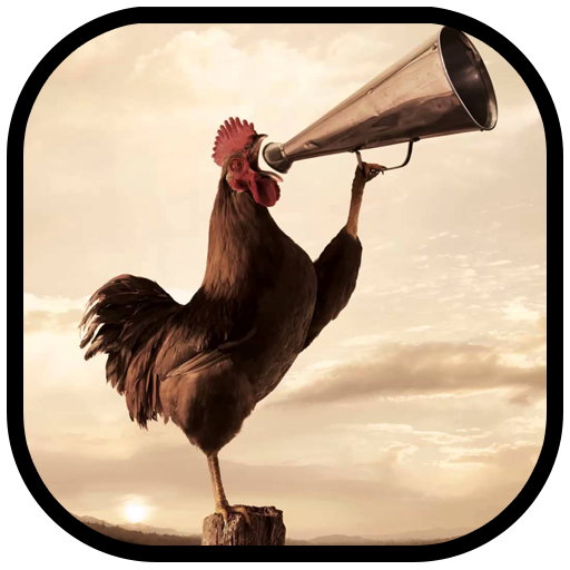 Wild Rooster Sounds icon