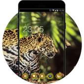 Lepoard Live HD Wallpaper: Animal King Theme on 9Apps