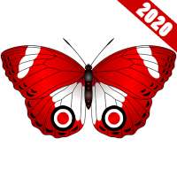 WAStickerApps - Butterfly Stickers for WA 2020