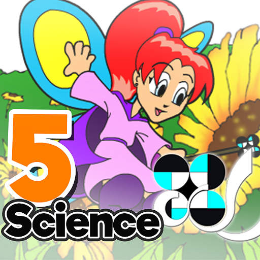 ikon Menstrual Cycle