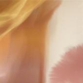 Dreaming Of Carnations Live Wa icon