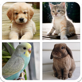 Pet Sounds &amp; Guess The Animal icon