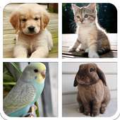 Pet Sounds & Guess The Animal