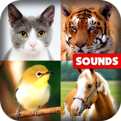 Animals and Birds Sounds icon