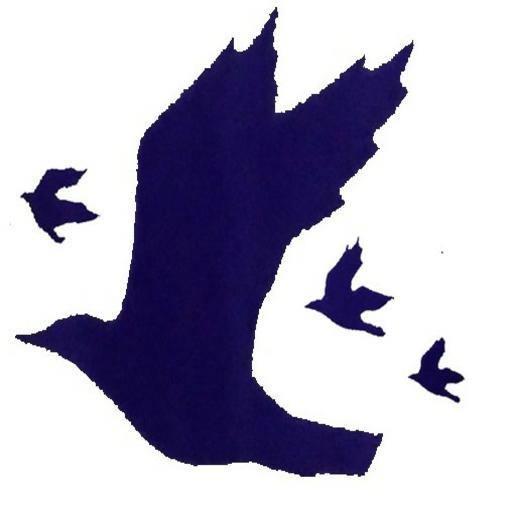 BLUE BIRD icon
