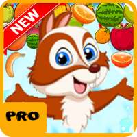 Bubble Squirrel Shooter