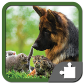 Dog &amp; Cat jigsaw puzzle icon