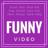 Funny Videos 2016 icon