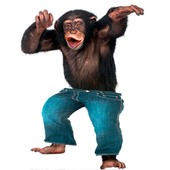 Funny Talking Monkey icon