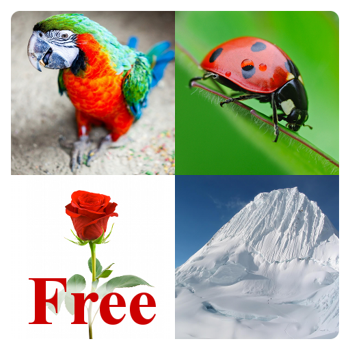 Learn English Words Free icon