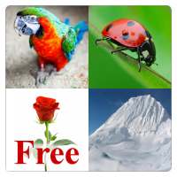 Learn English Words Free