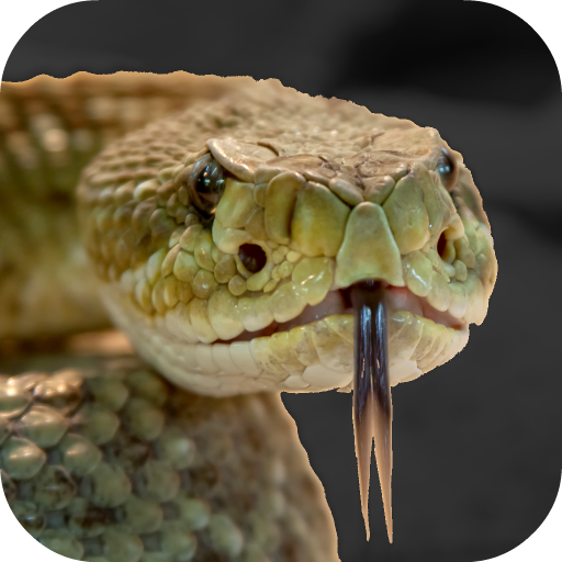Rattlesnake Sounds icon