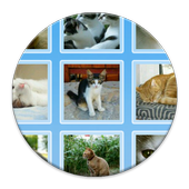 Cats Collection icon