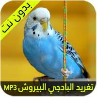 صوت البادجي - البيروش on 9Apps