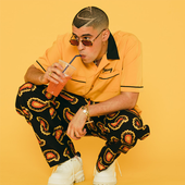 Bad Bunny Songs Offline 2019 icon