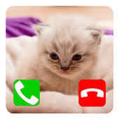 Talking Cat Call Prank icon