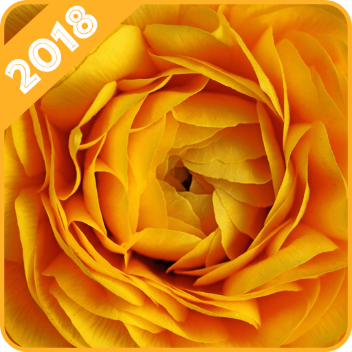 Yellow Wallpaper icon