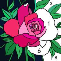 Daily Color - Color By Number