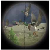 Jungle Birds Sniper Hunting