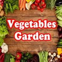 Vegetables Garden on 9Apps