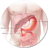 علاج حرقة المعدة والحموضة icon